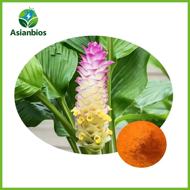 Organic High Curcumin Turmeric Powder